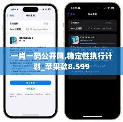 一肖一码公开网,稳定性执行计划_苹果款8.599