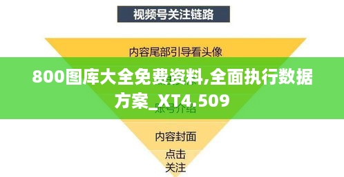 800图库大全免费资料,全面执行数据方案_XT4.509