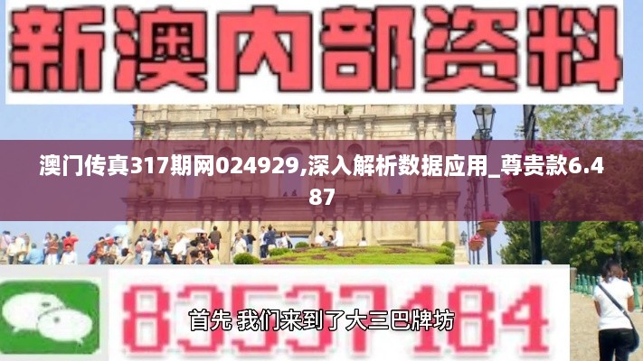 澳门传真317期网024929,深入解析数据应用_尊贵款6.487