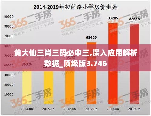 黄大仙三肖三码必中三,深入应用解析数据_顶级版3.746