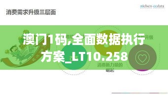 澳门1码,全面数据执行方案_LT10.258