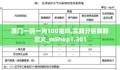 澳门一码一肖100准吗,实践分析解释定义_mShop1.301