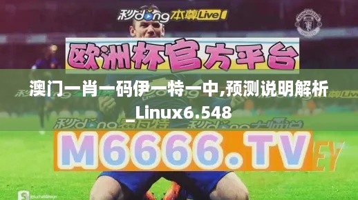 澳门一肖一码伊一特一中,预测说明解析_Linux6.548