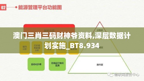 澳门三肖三码财神爷资料,深层数据计划实施_BT8.934