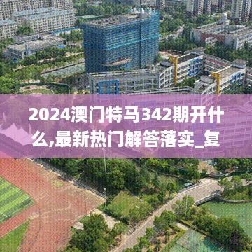 2024澳门特马342期开什么,最新热门解答落实_复刻版2.956