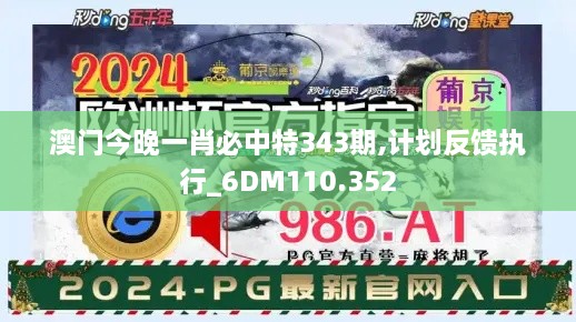 澳门今晚一肖必中特343期,计划反馈执行_6DM110.352