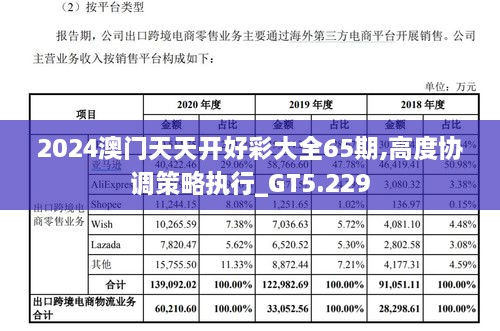 2024澳门天天开好彩大全65期,高度协调策略执行_GT5.229