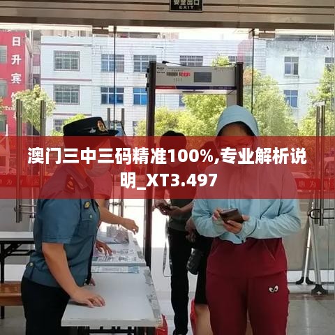 澳门三中三码精准100%,专业解析说明_XT3.497