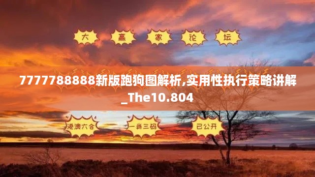 7777788888新版跑狗图解析,实用性执行策略讲解_The10.804