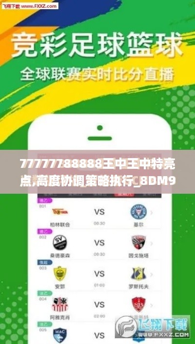 77777788888王中王中特亮点,高度协调策略执行_8DM9.206