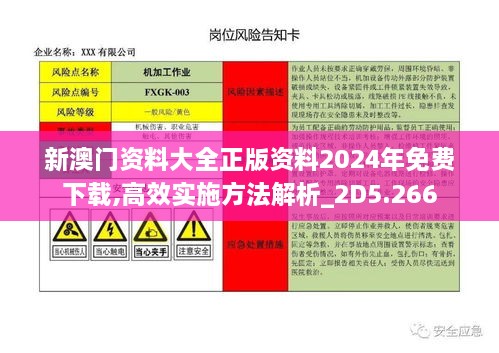 新澳门资料大全正版资料2024年免费下载,高效实施方法解析_2D5.266