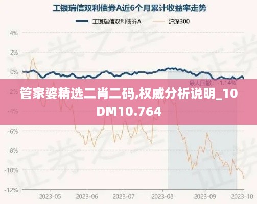 管家婆精选二肖二码,权威分析说明_10DM10.764