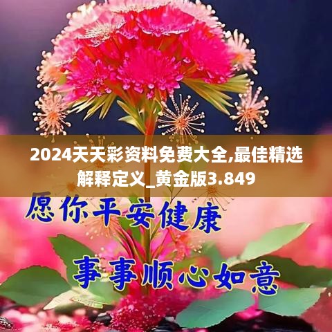 2024天天彩资料免费大全,最佳精选解释定义_黄金版3.849