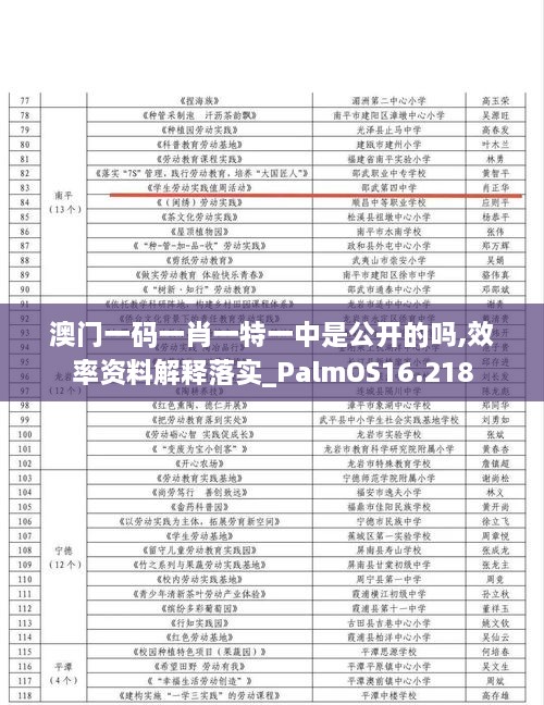 澳门一码一肖一特一中是公开的吗,效率资料解释落实_PalmOS16.218