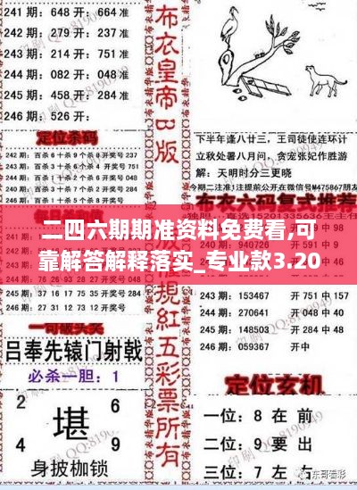 二四六期期准资料免费看,可靠解答解释落实_专业款3.203