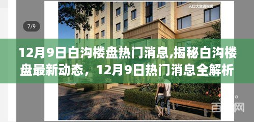 揭秘白沟楼盘最新动态，热门消息全解析（12月9日）