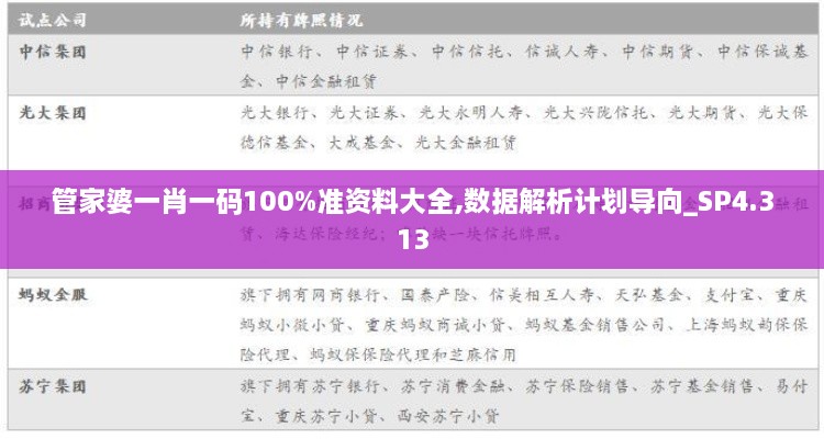 管家婆一肖一码100%准资料大全,数据解析计划导向_SP4.313