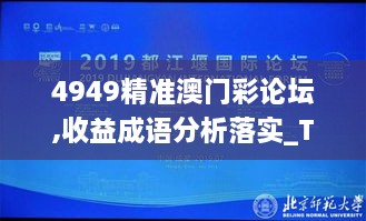 4949精准澳门彩论坛,收益成语分析落实_The2.173