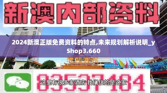 2024新澳正版免费资料的特点,未来规划解析说明_yShop3.660