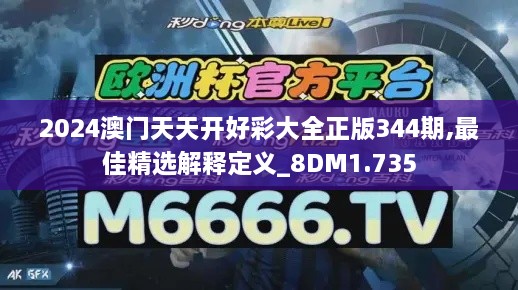 2024澳门天天开好彩大全正版344期,最佳精选解释定义_8DM1.735