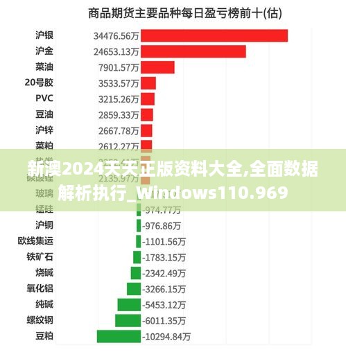 新澳2024天天正版资料大全,全面数据解析执行_Windows110.969