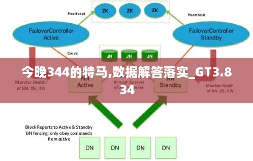 今晚344的特马,数据解答落实_GT3.834