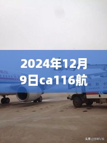 2024年12月9日CA116航班实时动态查询与追踪