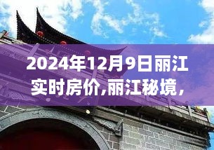 2024年12月9日丽江实时房价,丽江秘境，小巷深处的特色小店与2024年实时房价探秘