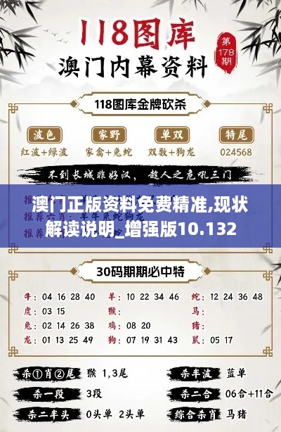 澳门正版资料免费精准,现状解读说明_增强版10.132