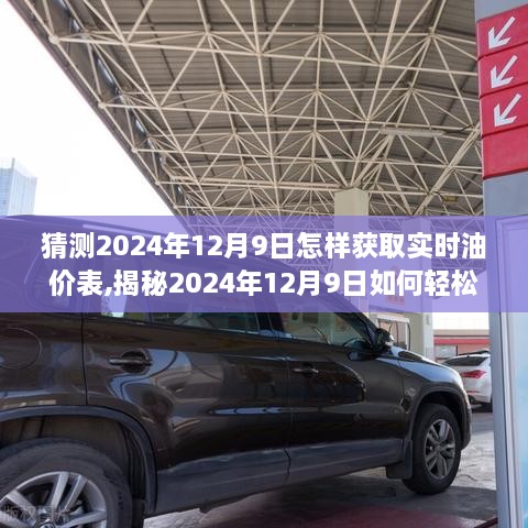 揭秘油价动态，轻松获取2024年12月9日实时油价表的方法！