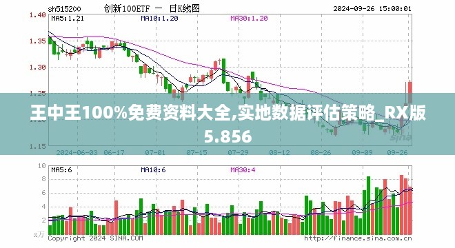 王中王100%免费资料大全,实地数据评估策略_RX版5.856