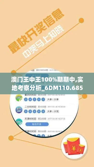 澳门王中王100%期期中,实地考察分析_6DM110.685