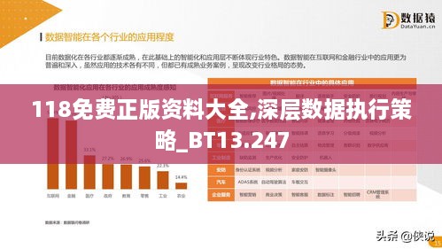 118免费正版资料大全,深层数据执行策略_BT13.247