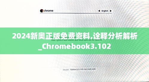 2024新奥正版免费资料,诠释分析解析_Chromebook3.102