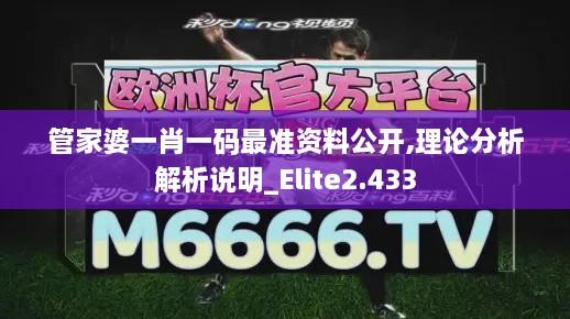 管家婆一肖一码最准资料公开,理论分析解析说明_Elite2.433