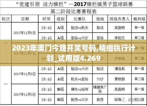 2023年澳门今晚开奖号码,精细执行计划_试用版4.269