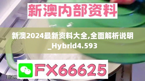 新澳2024最新资料大全,全面解析说明_Hybrid4.593