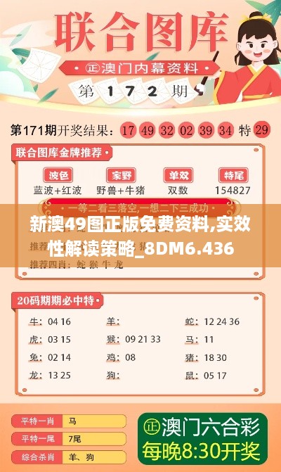 新澳49图正版免费资料,实效性解读策略_8DM6.436