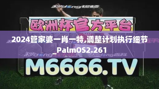 2024管家婆一肖一特,调整计划执行细节_PalmOS2.261