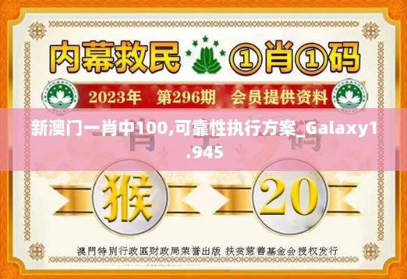 新澳门一肖中100,可靠性执行方案_Galaxy1.945