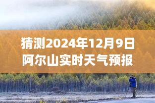 揭秘阿尔山未来天气，智能预报仪预测2024年12月9日的阳光与天气状况