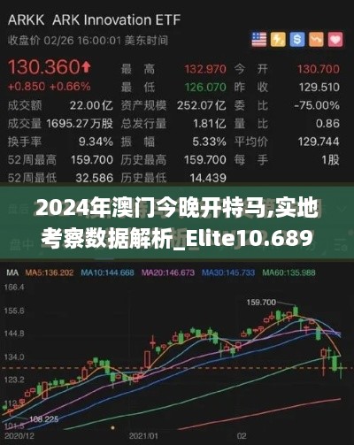 2024年澳门今晚开特马,实地考察数据解析_Elite10.689