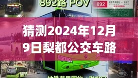 梨都公交路线探秘之旅，2024年12月9日实时查询与奇遇体验