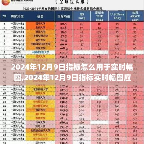 2024年12月9日指标实时幅图应用指南与产品全面评测