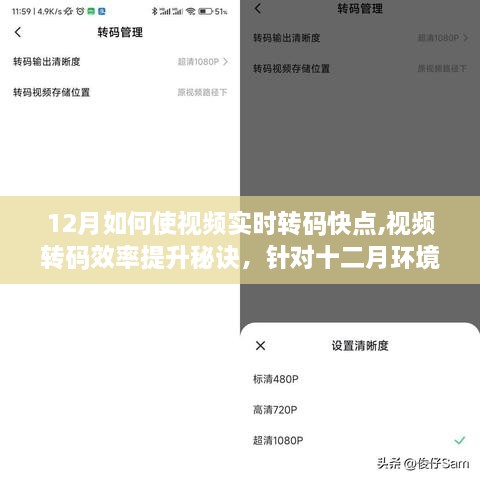 12月提升视频转码效率秘诀，实时转码优化深度解析