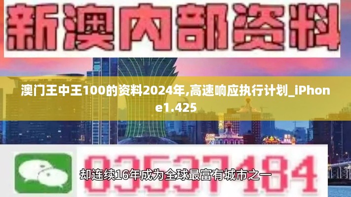 澳门王中王100的资料2024年,高速响应执行计划_iPhone1.425