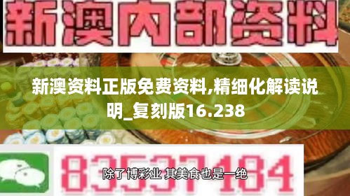 新澳资料正版免费资料,精细化解读说明_复刻版16.238