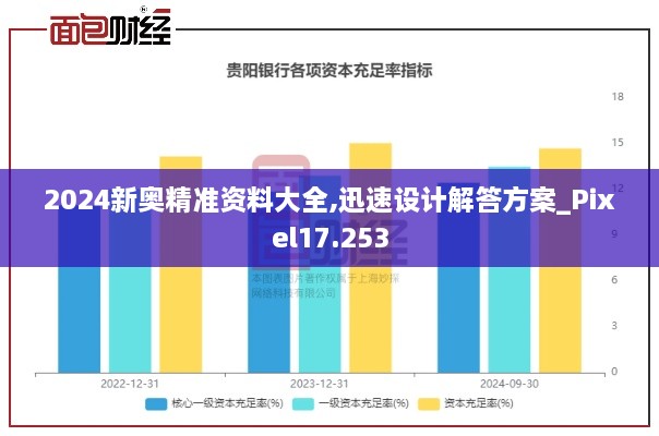 2024新奥精准资料大全,迅速设计解答方案_Pixel17.253