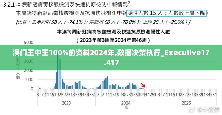 澳门王中王100%的资料2024年,数据决策执行_Executive17.417