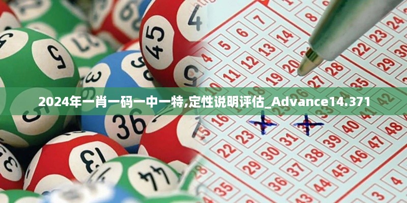 2024年一肖一码一中一特,定性说明评估_Advance14.371